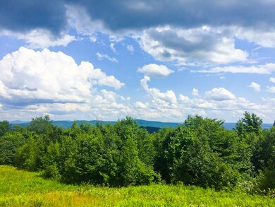 1834 Hallstrom Rd, Northfield, VT 05663 - photo 5