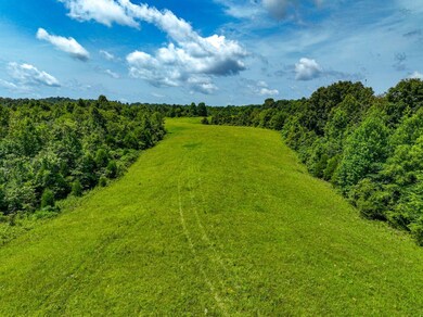 0 Scenic Ln unit LotWP001 24246943, Horse Branch, KY 42349 - photo 6