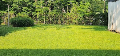 View of green lawn
