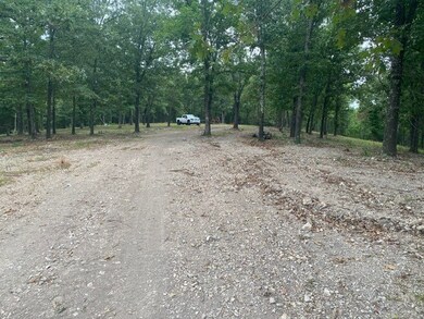 15905 Cow Face Rd, Lowell, AR 72745 - photo 7