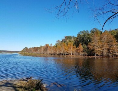 000 Moorhen Cir, Tallahassee, FL 32312 - photo 7