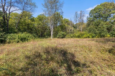 006_yawger_rd_bedford_charter_township_m