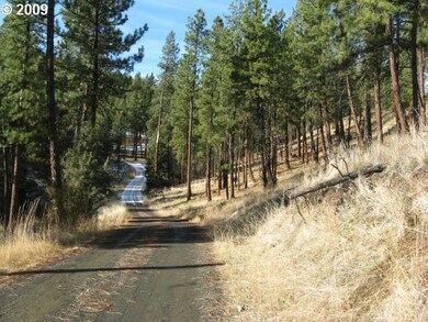 0 Eagle Rock unit 9088562, Canyon City, OR 97820 - photo 5