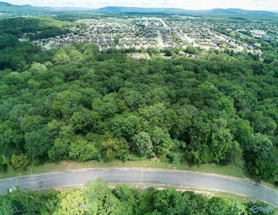 7035 Ridge Crest Rd SE unit LOT 53, Owens Cross Roads, AL 35763 - photo 7