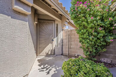 5-web-or-mls-Saguaro-5