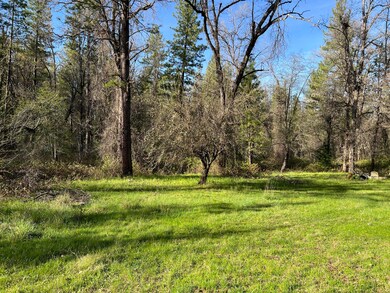Green Meadows