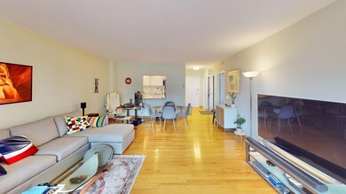 Sargent Estates unit 110, Brookline, MA 02445 - photo 5