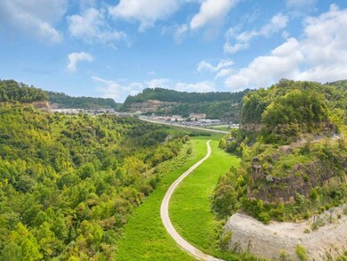 10 Kentucky 80, Hindman, KY 41822 - photo 3