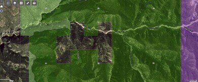 20250307155638747261000000-o