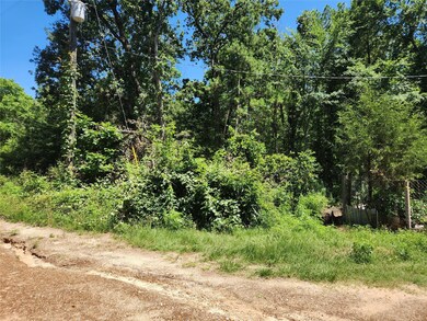 LOT 3 Youpon Dr, Plantersville, TX 77363 - photo 6