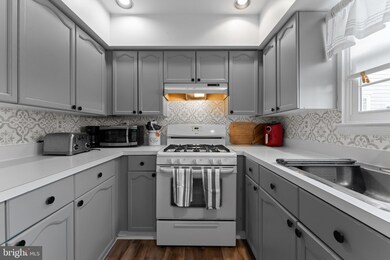 3944 Captain Molly Cir unit 167, Doylestown, PA 18902 - photo 7