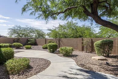 Rear Yard