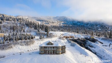 16905 Olena Pointe Cir, Anchorage, AK 99516 - photo 5