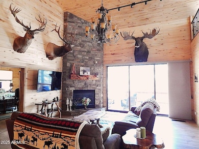 Main Level Stone Gas Fireplace