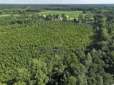 Rd unit LotWP001, Zebulon, NC 27597 - photo 4