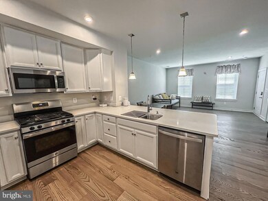 24736 Monk Meadows Terrace, Dulles, VA 20166 - photo 6