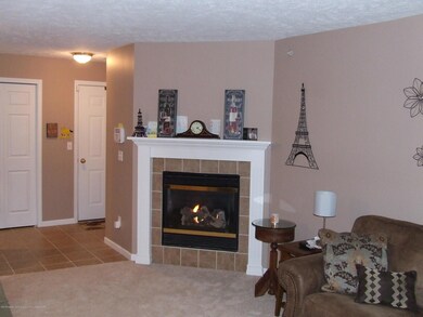Living room with fireplace