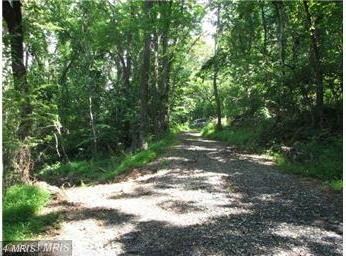 518 Bragg Dr, Front Royal, VA 22630 - photo 5