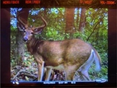 N5595 County Road F, Durand, WI 54736 - photo 5