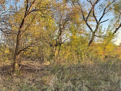 9632 Ronald Dr, Fort Worth, TX 76134 - photo 5