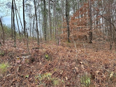 0 County Road 59 unit 7689585, Heflin, AL 36264 - photo 2