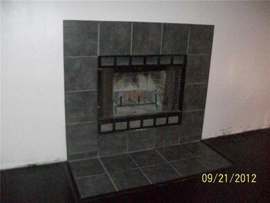 Other. fireplace
