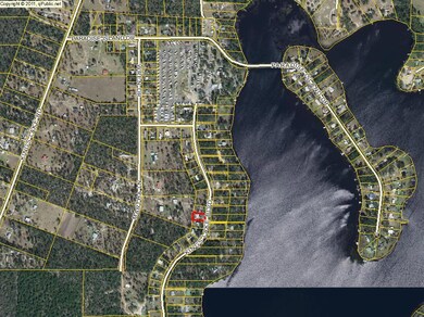 258 King Lake Blvd larger aerial