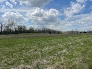 8710 Pentecost Hwy, Onsted, MI 49265 - photo 4