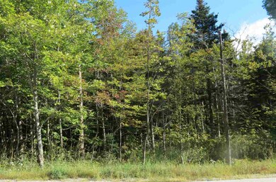 00 Route 100 S, Ludlow, VT 05149 - photo 4