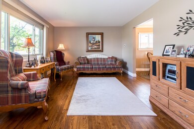 Living Room 1