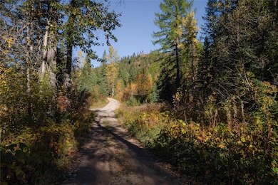 Nhn Kelly Mountain Rd, Columbia Falls, MT 59912 - photo 7