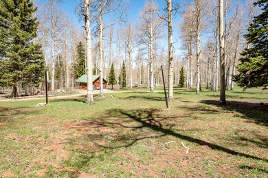 971 N 725 W Brian Head-47