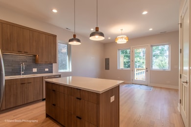 6747 S Langley Ave, Chicago, IL 60637 - photo 6