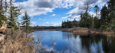 Webb Brook 3