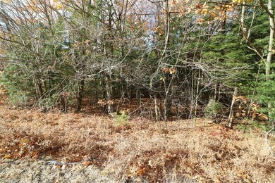 605 U S 2, Shelburne, NH 03581 - photo 5