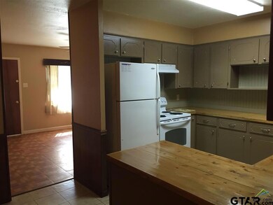 3801 3801 Driftwood Ln, Tyler, TX 75701 - photo 6