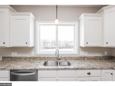 Kitchen sink with window overlooking the wetlands.