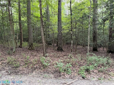TBD Lonesome Pine Trail, Lancaster, VA 22503 - photo 2