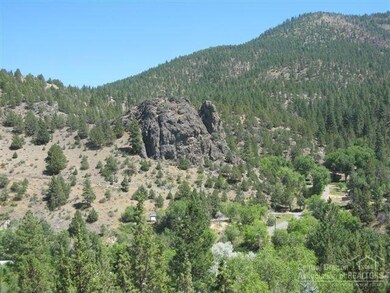 309 Adam Dr, Canyon City, OR 97820 - photo 6