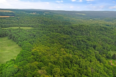 0 Slators Ln unit R1626210, Newfield, NY 14867 - photo 5