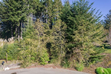 0 Sea Foam Dr, Crescent City, CA 95531 - photo 3