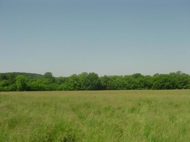 2540 Fairfield Pike, Shelbyville, TN 37160 - photo 4