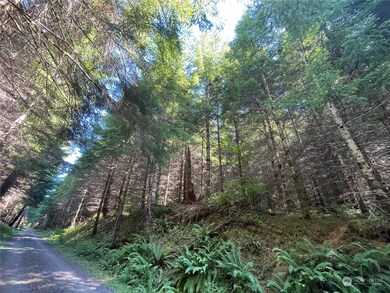 0 Wiest Rd unit NWM2155730, Longview, WA 98632 - photo 2