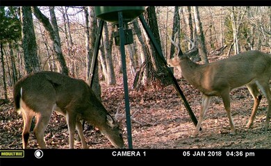 14189 Sugar Mountain Rd, West Fork, AR 72774 - photo 3