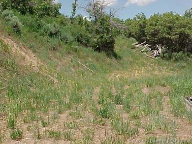 Land/Lot.