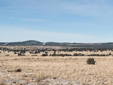 98-D 10 Tanks Rd, Ash Fork, AZ 86320 - photo 6