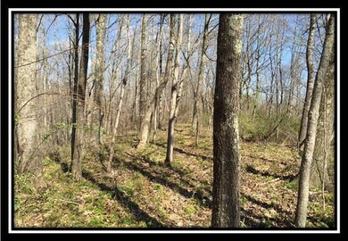 13438 Ohio 595, Logan, OH 43138 - photo 6