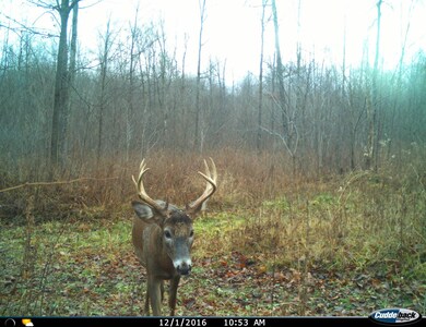 0 Beetle Creek Rd unit 22202013, Tigerton, WI 54486 - photo 6