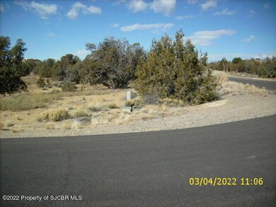 6925 High Point Dr, Farmington, NM 87402 - photo 4