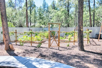 Backyard2